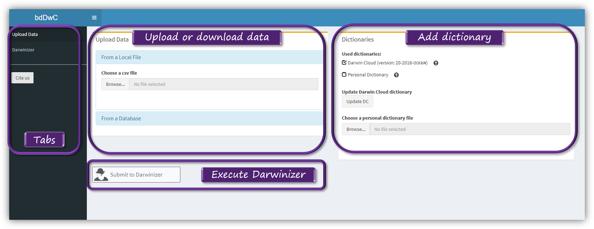 bdDwC App Overview